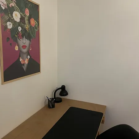 Sejour Confort 2 Personnes Ideal Couple Ou Pro Apartment Angers